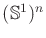 $ ({\mathbb{S}}^1)^n$