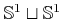 $ {\mathbb{S}}^1 \sqcup {\mathbb{S}}^1$