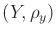 $ (Y,\rho_y)$