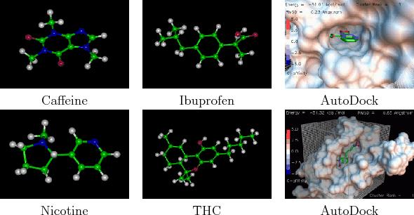 \begin{figure}\begin{center}
\begin{tabular}{ccc}
\psfig{file=figs/caffeine.ps,h...
...truein} \\
Nicotine & THC & AutoDock \\
\end{tabular}\end{center}
\end{figure}