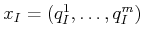 $ {x_{I}}= ({q^1_{I}},\ldots,{q^m_{I}})$