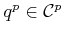 $ {q}^p \in
{\cal C}^p$