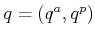 $ q = (q^a,q^p)$