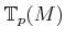 $ {\mathbb{T}}_p(M)$