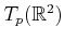 $ T_p({\mathbb{R}}^2)$