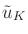 $ {\tilde{u}}_K$