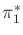 $ \pi _1^*$