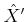$ {\hat{X}}'$