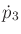 $\displaystyle {\dot p}_3$