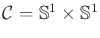 $ {\cal C}
= {\mathbb{S}}^1 \times {\mathbb{S}}^1$