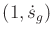 $ (1,{\dot s}_g)$