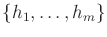 $ \{h_1,\ldots,h_m\}$