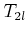 $ T_{2l}$