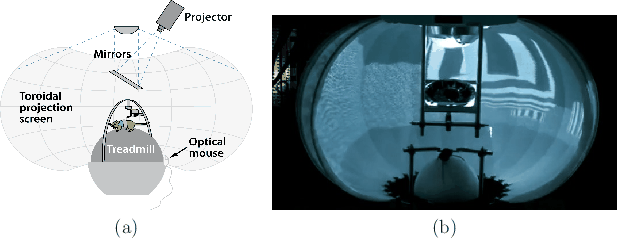 \begin{figure}\begin{center}
\begin{tabular}{cc}
\psfig{file=figs/rodentvr.ps,wi...
...ousevr.ps,width=3.0truein} \\
(a) & (b)
\end{tabular}\end{center}
\end{figure}