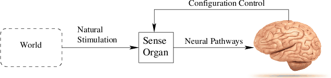 \begin{figure}\centerline{\psfig{file=figs/brainview.eps,width=6.0truein}}\end{figure}