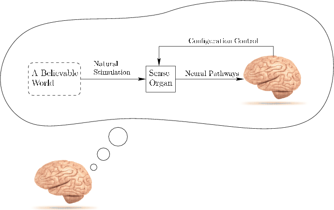 \begin{figure}\centerline{\psfig{file=figs/brainview3.eps,width=6.0truein}}\end{figure}