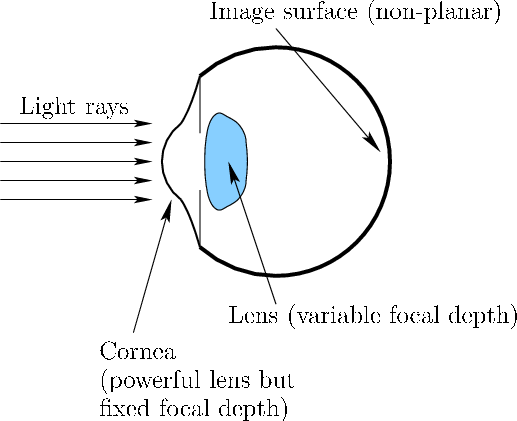 \begin{figure}\centerline{\psfig{file=figs/eye1.eps,width=4.5truein}}\end{figure}