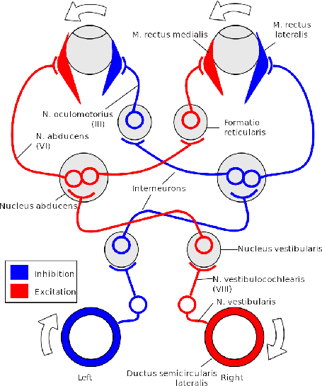 \begin{figure}\centerline{\psfig{file=figs/VORcircuit.ps,width=4.0truein}}\end{figure}