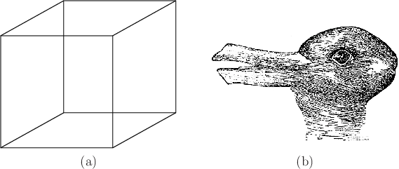 \begin{figure}\begin{center}
\begin{tabular}{ccc}
\psfig{file=figs/necker.eps,wi...
...abbit.ps,width=2.5truein} \\
(a) & & (b)
\end{tabular}\end{center}
\end{figure}