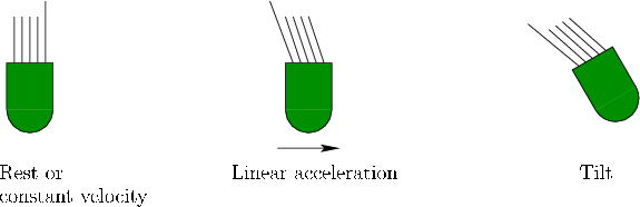 \begin{figure}\centerline{\psfig{file=figs/cilia1.eps,width=5.0truein}}\end{figure}